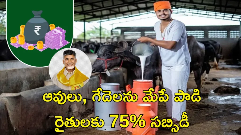 Andhra Pradesh Dairy Farmer Subsidies