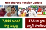 NTR Bharosa Pension Update